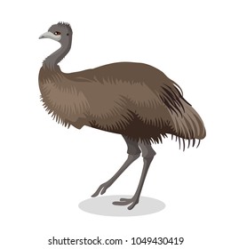 4,658 Emu Stock Illustrations, Images & Vectors | Shutterstock