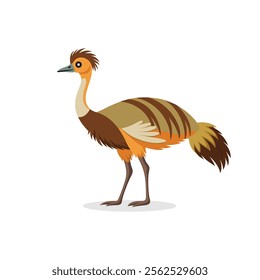 
Emu bird isolated flat vector illustration on white background.