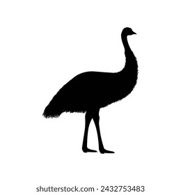Emu bird silhouette vector isolated on white background.