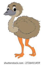 Emu bird standing on white background