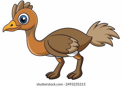 An Emu bird vector illustration