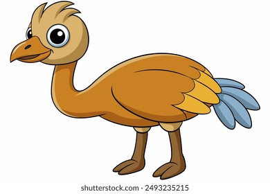 An Emu bird vector illustration