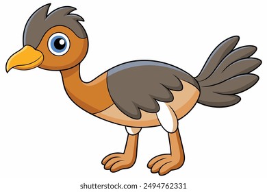 An Emu bird vector illustration