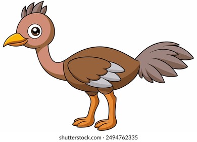 An Emu bird vector illustration