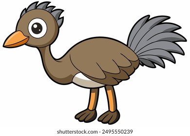 An Emu bird vector illustration