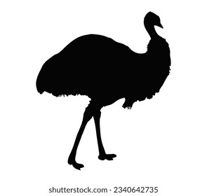 Emu bird vector silhouette illustration isolated on white background.