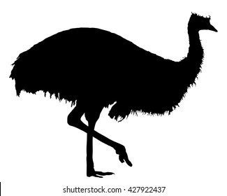 Emu bird vector silhouette illustration isolated on white background. Emu. Cartoon character. Australian endemic emu. Zoo illustration. Wild animal. Cute ostrich.