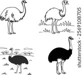 Emu bundle line art and illustrator eps
