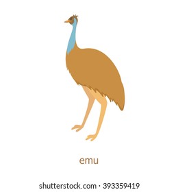 Emu. Cartoon character. Australian endemic emu.  Zoo illustration. Wild animal. Cute ostrich.