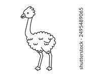 Emu coloring page , isolated , Simple Animal Coloring Page , Vector Illustration