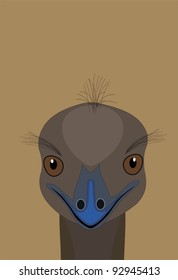 Emu - cute emu with big eyes