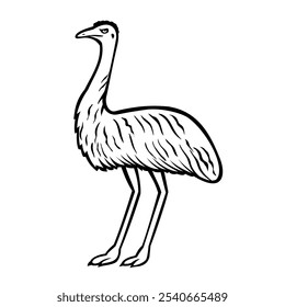 Emu or Dromaius Novaehollandiae Standing Side View Retro