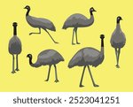 Emu Flightless Bird Walking Various Poses Vector Illustration