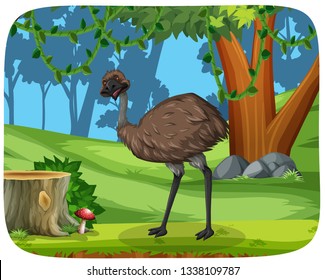 An emu in the forest illustration