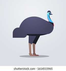 emu icon cute cartoon wild animal symbol with shadow wildlife species fauna concept flat vector illustration