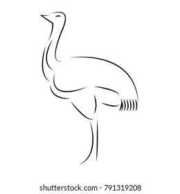 Emu icon - vector illustration