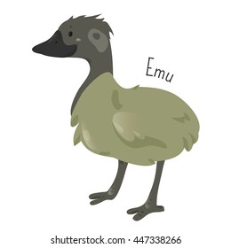 Emu isolated on white. Cartoon character. Australia endemic. Cute ostrich. Dromaius novaehollandiae. Second-largest living bird. Part of series of australian animal species. Wildlife concept. Vector