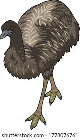 
Emu is a large bird that lives in Australia.