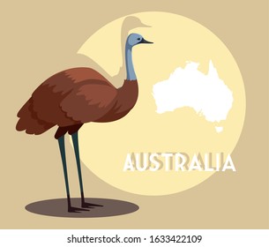 Emu With Map Of Australia In The Background Vector Illustration Design