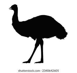 Emu silhouette. Black icon isolated on white background. Vector illustration.
