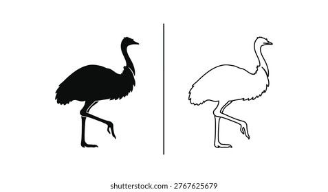 Emu Silhouette Comparison Design Guide Vector