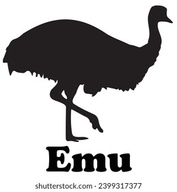 Emu Silhouette Vector on a White Background