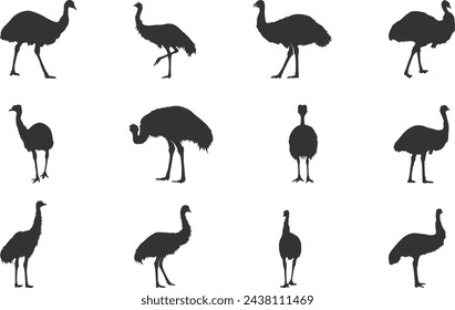 Emu silhouettes, Emu bird silhouette, Simple emu silhouette, Emu vector illustration