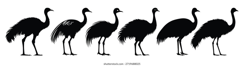 emu silhuetas vetor feixe avestruz emu silhueta conjunto