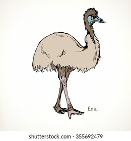 Emu, Vector Animal