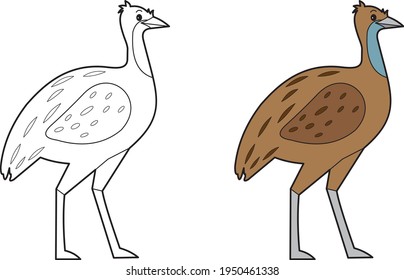 Emu vector drawing animal vector drawing, cartoon vector, line art and color
