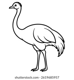 Emu Vector línea de arte sobre fondo blanco