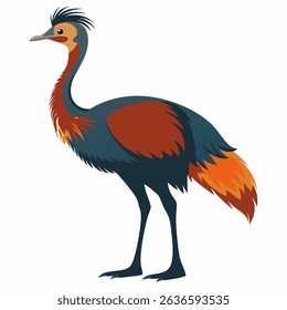Emu vector on white background