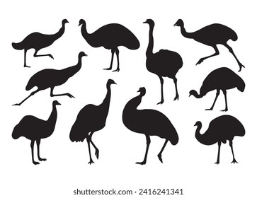 Emu Vector For Print, Emu Clipart, Emu vector Illustration