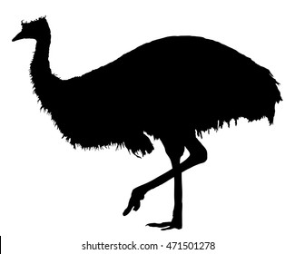 Emu vector silhouette illustration isolated on white background. Emu bird. Cartoon character. Australian endemic emu. Zoo illustration. Wild animal. Cute ostrich.