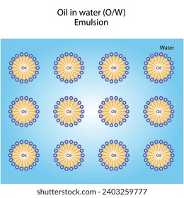 Emulsifier types. Emulsion oil in water, water in oil. Emulsion, a mixture of two immiscible liquids. Emulsification, Surfactants. isolated on white background. Vector illustration