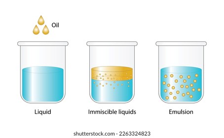 Emulsion, a mixture of two immiscible liquids (oil and water) in beakers, Emulsion oil in water, Immiscible liquids, isolated on white background. Vector illustration.