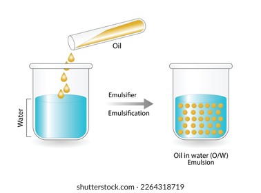 Emulsion, a mixture of two immiscible liquids (oil and water) in beakers, Emulsion oil in water, Immiscible liquids. Emulsification, emulsifier. isolated on white background. Vector illustration.