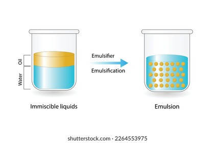 Emulsion, a mixture of two immiscible liquids (oil and water) in beakers, Emulsion oil in water, Immiscible liquids. Emulsification, emulsifier. isolated on white background. Vector illustration.