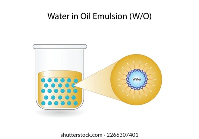 Emulsion, a mixture of two immiscible liquids (oil and water) in beakers, Emulsion water in oil, Immiscible liquids. Emulsification, emulsifier. isolated on white background. Vector illustration.