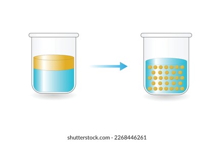 Emulsion, a mixture of two immiscible liquids (oil and water) in beakers, Emulsion oil in water, Immiscible liquids. Emulsification, emulsifier. isolated on white background. Vector illustration.