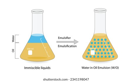 Emulsion, a mixture of two immiscible liquids (oil and water) in flasks, Emulsion water in oil, Immiscible liquids. Emulsification, emulsifier. isolated on white background. Vector illustration.