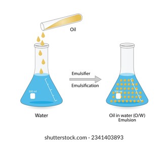 Emulsion, a mixture of two immiscible liquids (oil and water) in beakers, Emulsion oil in water, Immiscible liquids. Emulsification, emulsifier. isolated on white background. Vector illustration.