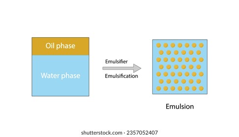 Emulsion, a mixture of two immiscible liquids (oil and water) in beakers, Emulsion oil in water, Immiscible liquids. Emulsification, emulsifier. isolated on white background. Vector illustration.