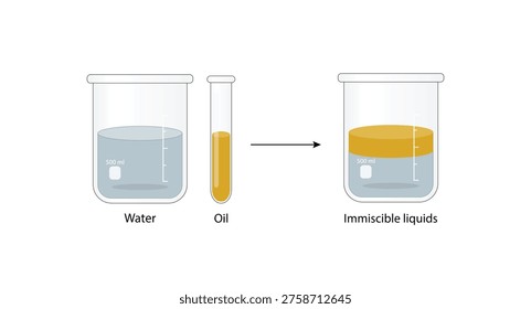 Emulsion, a mixture of two immiscible liquids (oil and water) in beakers, Emulsion oil in water, Immiscible liquids. Emulsification, emulsifier. isolated on white background. Vector illustration.
