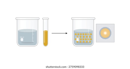 Emulsion, a mixture of two immiscible liquids (oil and water) in beakers, Emulsion oil in water, Immiscible liquids. Emulsification, emulsifier. isolated on white background. Vector illustration.