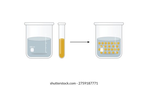  Emulsion, a mixture of two immiscible liquids (oil and water) in beakers, Emulsion oil in water, Immiscible liquids. Emulsification, emulsifier. isolated on white background. Vector illustration.