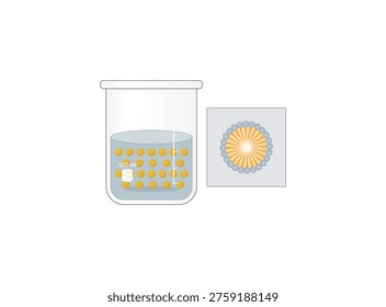 Emulsion, a mixture of two immiscible liquids (oil and water) in beakers, Emulsion oil in water, Immiscible liquids. Emulsification, emulsifier. isolated on white background. Vector illustration.