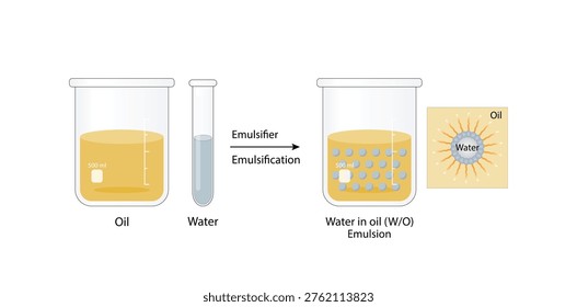 Emulsion, a mixture of two immiscible liquids (oil and water) in beakers, Emulsion oil in water, Immiscible liquids. Emulsification, emulsifier. isolated on white background. Vector illustration.