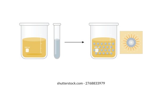 Emulsion, a mixture of two immiscible liquids (oil and water) in beakers, Emulsion water in oil, Immiscible liquids. Emulsification, emulsifier. isolated on white background. Vector illustration.