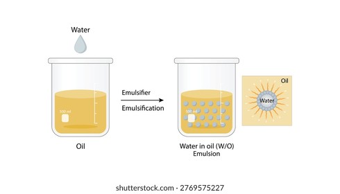 Emulsion, a mixture of two immiscible liquids (oil and water) in beakers, Emulsion  water in oil, Immiscible liquids. Emulsification, emulsifier. isolated on white background. Vector illustration.